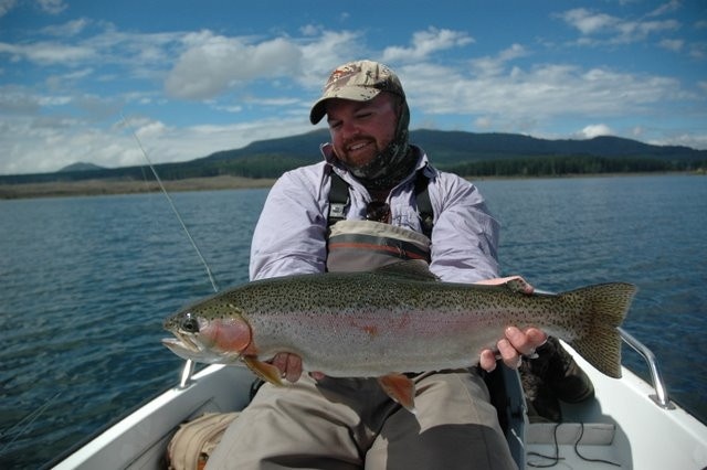 A double figure Rainbow trout.