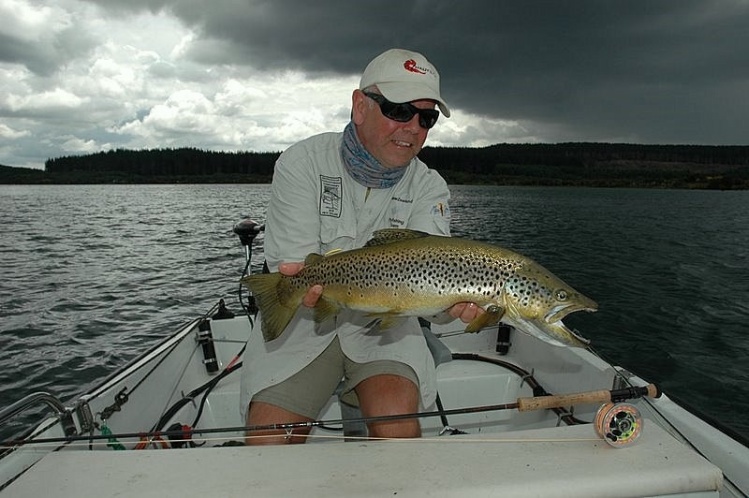 A beautiful early evening Brown trout