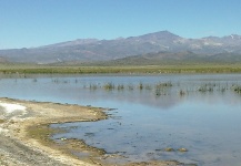 Laguna Blanca - Malargüe - Mendoza - Argentina