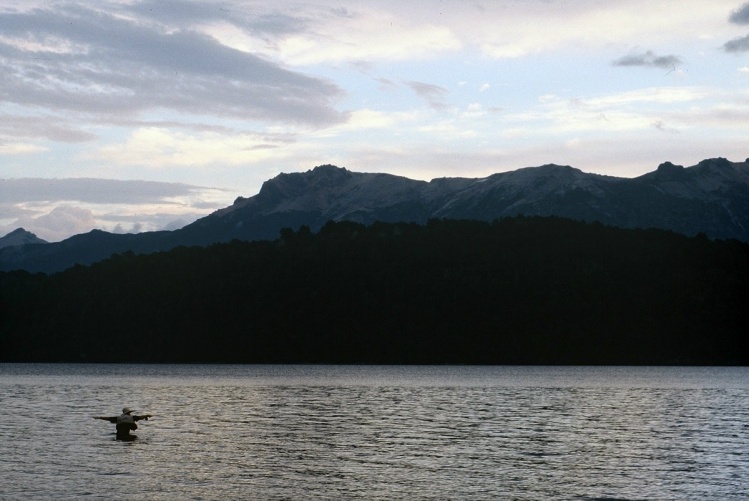 "Pescador de Imágenes"  La mosca partió hacia esa trucha imaginaria que nos despierta esta pasión de pescar con mosca. Lago Tromen .