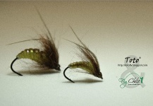 Great Fly-tying Image by Rodrigo Torres 