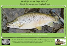new zealnd fly fishing guide 