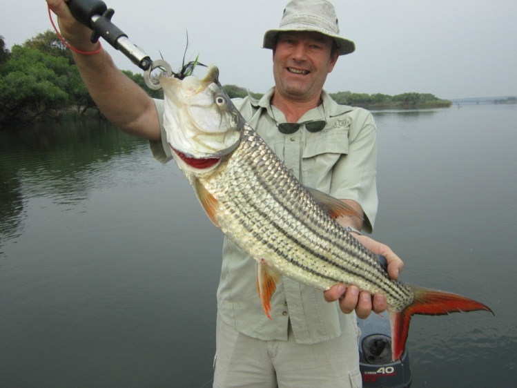 4.8 kg tiger fish caught on the Chobe river, Kasane Botswana.
