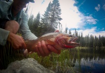  Foto de Pesca con Mosca de Cutthroat por Dominic Potente – Fly dreamers 