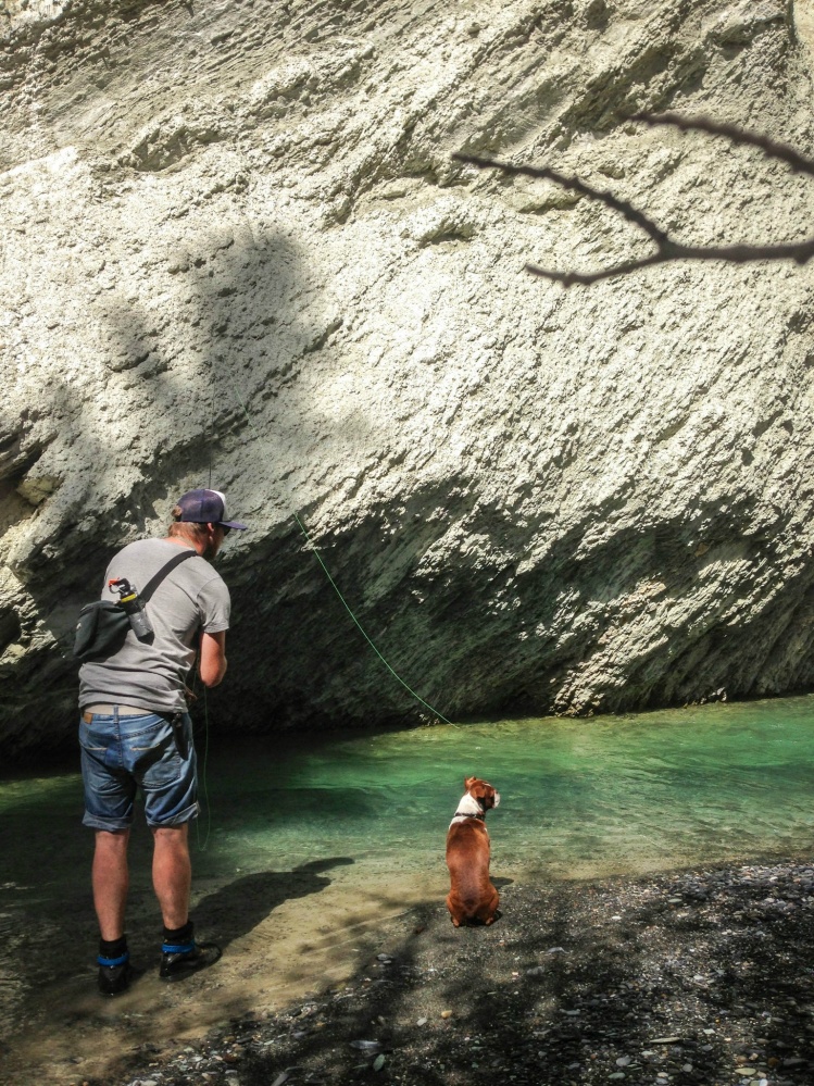 my dog "Findlay" knows how to chill. loves watching the trout come in.