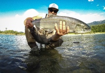 Fly-fishing Image of Sockeye salmon shared by Andrew Hardingham – Fly dreamers