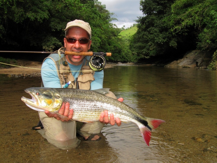 PICUDA - SALMINUS AFFINIS PESCADA POR JUAN DIEGO SANINT EN EL RIO LA MIEL, CALDAS - COLOMBIA