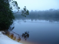 Fly fishing picture