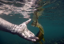  Gran Imagen de Pesca con Mosca compartida por Rudesindo Fariña – Fly dreamers