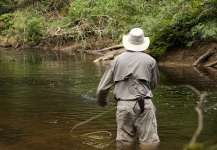 Golden Dorado Fly-fishing Situation – Fabian Anastasio shared this () Image in Fly dreamers 