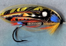 Creative Salmon Fly - Aztec Moon - tied by Mike Boyer