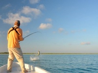 Foto de pesca con mosca