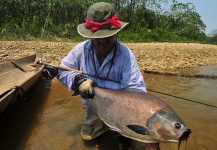 Marcelo Morales 's Fly-fishing Picture of a Pacu – Fly dreamers 