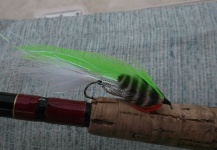 Jan Wagner 's Fly for Coho salmon - Picture – Fly dreamers 