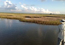 life is good in the marsh