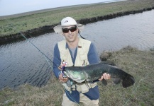 Fly-fishing Image of Blue Wolf Fish shared by Ignacio Silva – Fly dreamers