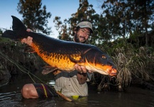 Fly-fishing Photo of Carp shared by Damien Brouste – Fly dreamers 