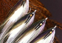 Rachel Marie 's Fly-tying Photo – Fly dreamers 