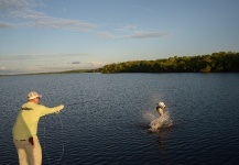 Tarpon Fly-fishing Situation – Bill Katzenberger shared this () Image in Fly dreamers 