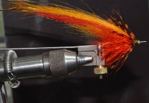 Orange Temple Dog tube fly (bronce  tube fly 1")