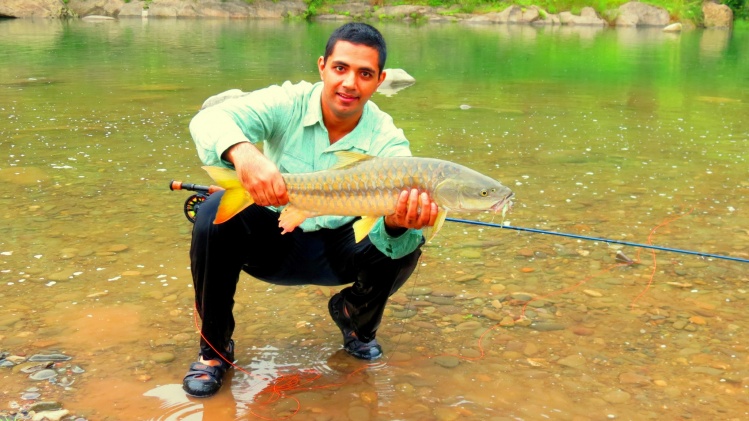 Matching the Hatch is a fundamental principle in Fly Fishing. Often I've had success blindly bombing casts using certain go to patterns.

This morning I did the same thing, casting and casting for over an hour amounted to nothing. Then as the sun was ri