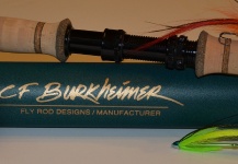 Burkheimer Rods Temporada 2013/2014