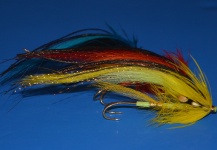 Temple Dog tube flies colores varios