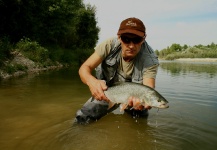 Fly-fishing Pic of Asp shared by Snjezana Bratic – Fly dreamers 