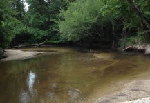 Pushepatapa Creek, Varnado, LA