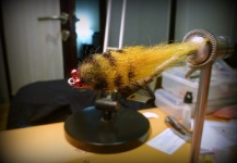 Fly-tying for Golden Dorado -  Image shared by Martin Altamirano – Fly dreamers