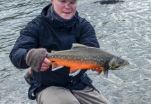  Fotografía de Pesca con Mosca de Arctic Char - Salvelino Alpino compartida por Simon Nilsson – Fly dreamers