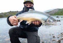  Imagen de Pesca con Mosca de Arctic Char - Salvelino Alpino compartida por Simon Nilsson – Fly dreamers