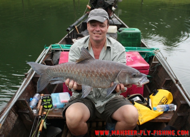 Thai Mahseer- Tor Tombroides