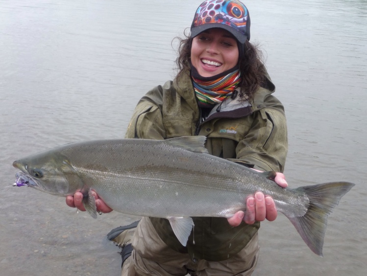 Alaska Silver salmon