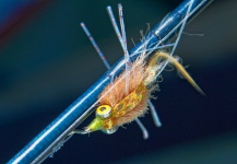  Mira esta foto de atado de moscas para Bonefish de George Kavanagh – Fly dreamers