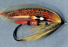 Creative Salmon Fly - Hot Rainbow - tied by Mike Boyer