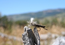  Gran Fotografía de Atado compartida por Rudesindo Fariña – Fly dreamers