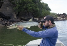 Fly-fishing Photo of Bicuda shared by Rafael Costa – Fly dreamers 