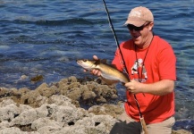 Nick  Denbow 's Fly-fishing Picture of a Other Species – Fly dreamers 