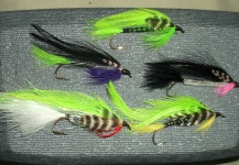 Jan Wagner 's Fly for trucha fontinalis - Picture – Fly dreamers 