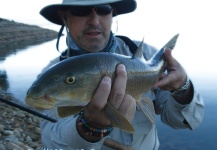 DAVID ROMANILLOS 's Fly-fishing Pic of a Barbel – Fly dreamers 