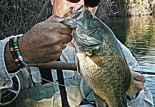 Fly-fishing Photo of Largemouth Bass shared by DAVID ROMANILLOS – Fly dreamers 