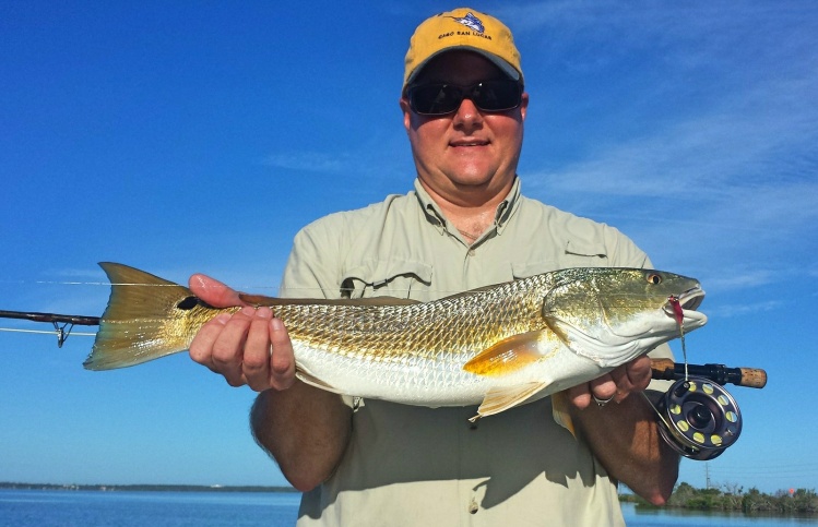 Redfish in Florida