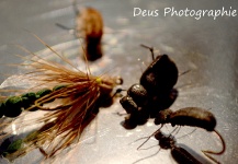  Gran Foto de Atado de moscas compartida por Baptiste Landelle – Fly dreamers