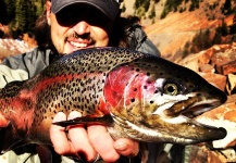 Andrew Nevins 's Fly-fishing Image of a Rainbow trout – Fly dreamers 