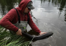 Nikolay Rudnev 's Fly-fishing Photo of a Taimen – Fly dreamers 