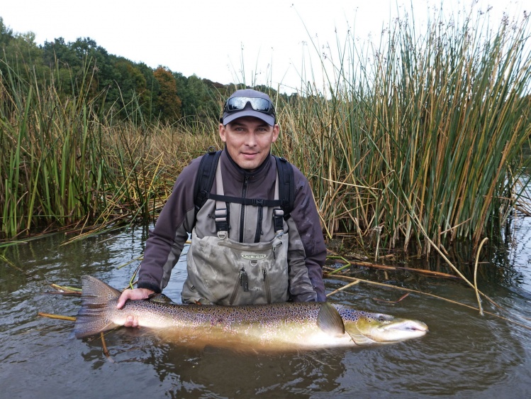 115 cm Atlantic salmon in Lithuania