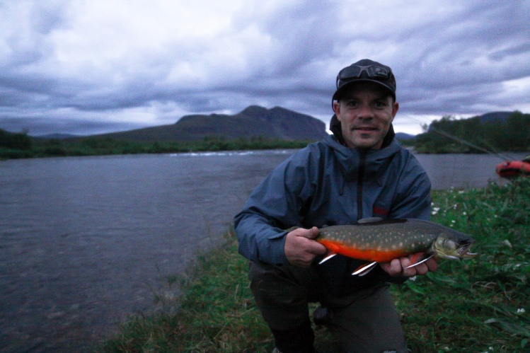 beautiful arctic char from the lapish mountains