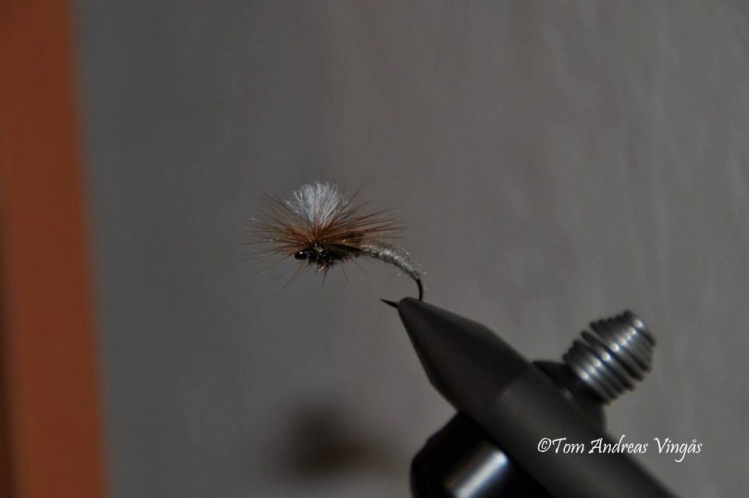 Klinkhammer 
hook: partridge extreme klinkhammer size 12
body: 2/3 parts of the body tan dryfly dubbing, rest of the body is peacock herl
wing/paracute: white poly yarn
hackle: a good brown dryfly hackle
