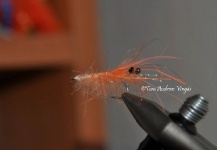 Fly-tying for Sea-Trout - Photo shared by Tom Andreas Krane Vingås – Fly dreamers 
